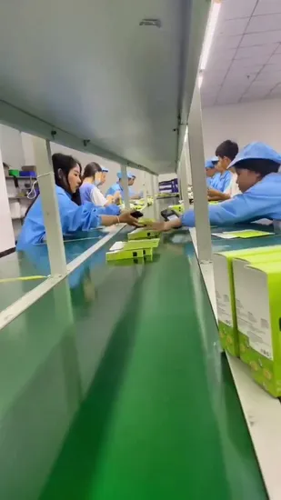 Qualité d'origine pour téléphone 13 PRO Max Mag sûr anneau magnétique housse de téléphone clair silicone Magsafing chargeur sans fil